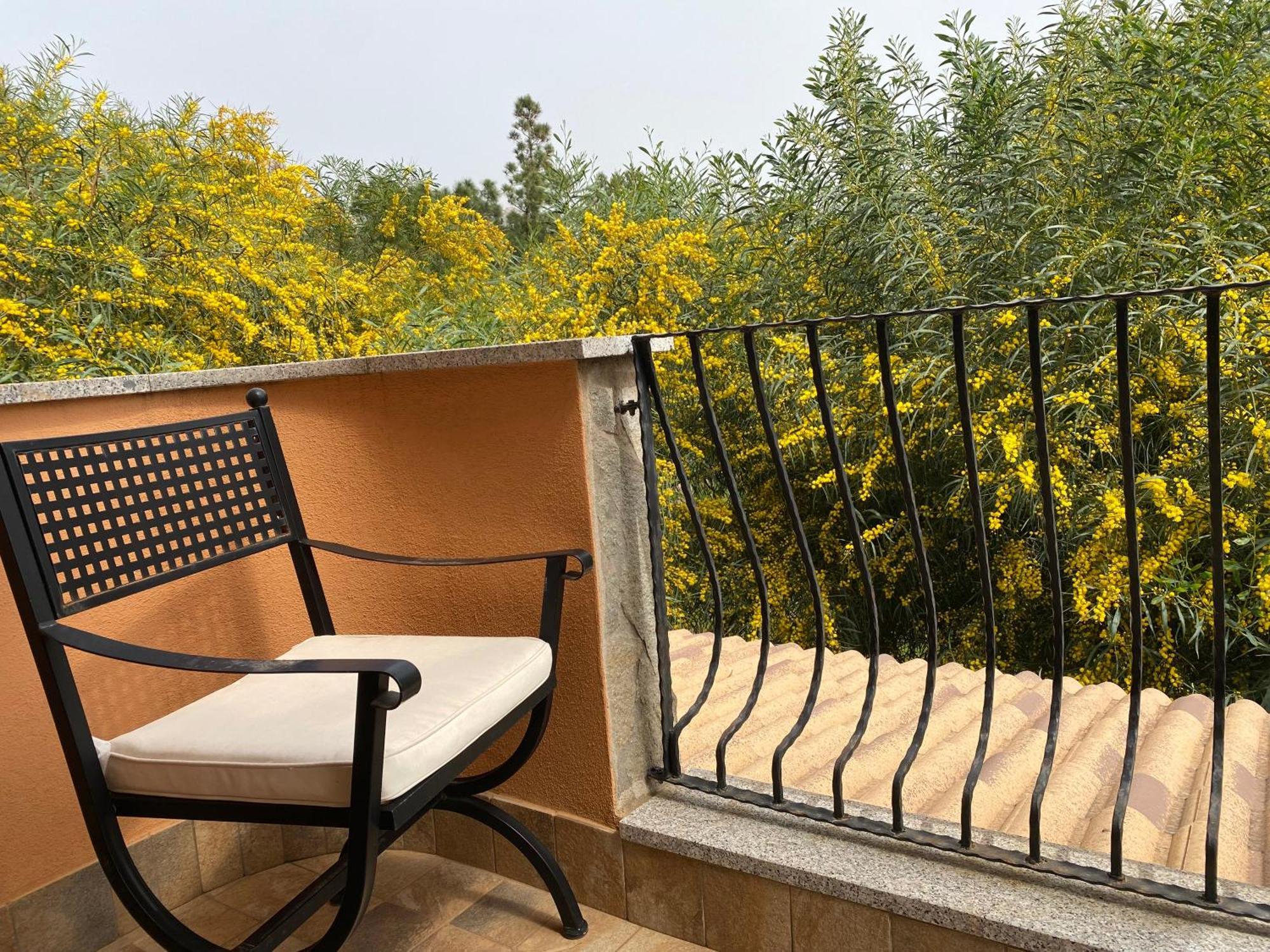 Residenza I Ginepri Villa Domus De Maria Exterior foto